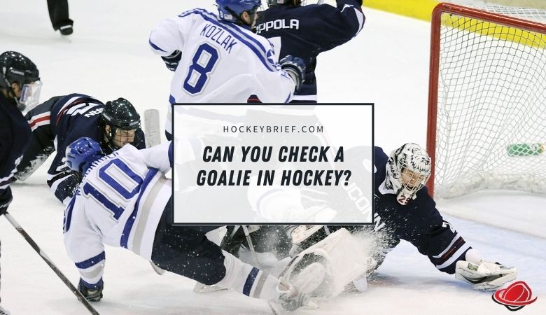 Can You Check A Goalie In Hockey?
