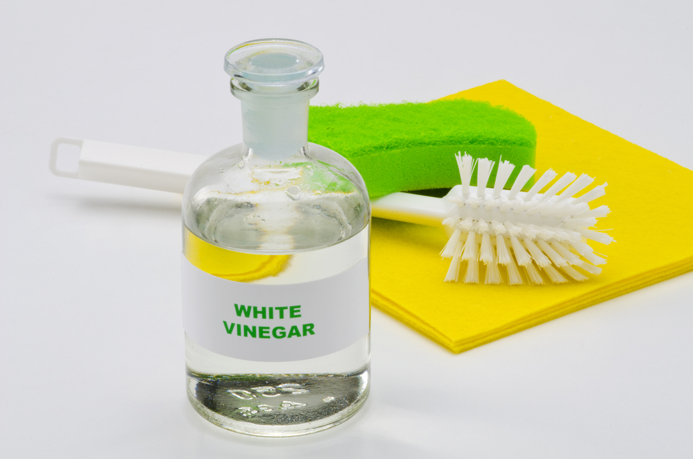 white vinegar bottle with scrub brush and sponge